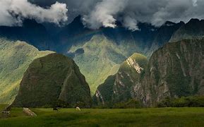 Image result for Peru 4K Wallpaper Jungle