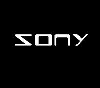 Image result for Sony Monitor Speakers