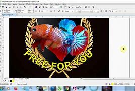 Image result for Ikan CFB Logo