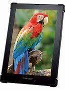 Image result for Sharp Tablet