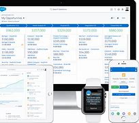 Image result for Salesforce CRM Interface