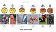 Image result for Improved Pain Scale Mauled by a Bear
