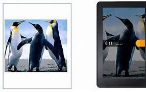Image result for Free Seasonal Wallpaper Apps for Kindle 8