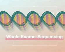 Image result for Whole Exome Sequencing