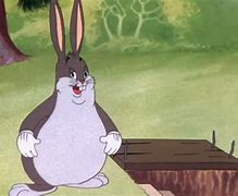 Image result for Multiversus Big Chungus