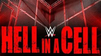 Image result for Hell in a Cell Custom