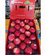 Image result for New Zealand Rose Apple