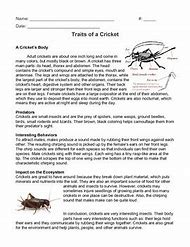 Image result for Cricket Text