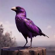 Image result for S77 Crow