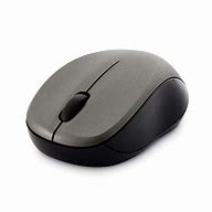 Image result for Anima Si Mouse