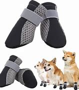 Image result for Big Shoes to Fill Pic Dog