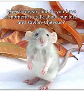 Image result for Mouse On iPod Meme