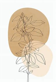 Image result for Aesthetic Plant Drawing Poster