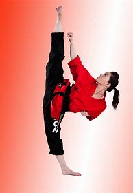 Image result for Woman Martial Artist
