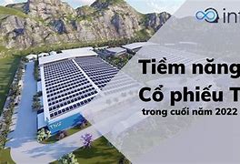 Image result for TNG Co Phieu