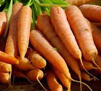 Image result for Imperator Carrot