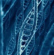 Image result for DNA Wallpaper High Resolution 1080P