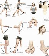 Image result for Human Body Movement