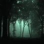 Image result for Creepy Forest Wallpaper
