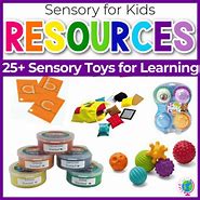 Image result for Five Senses Sensory Toys