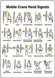 Image result for Hand Signals Cranes with Action