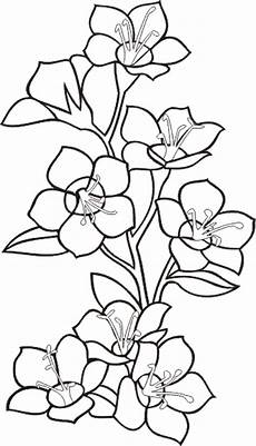 fiori da disegnare fiori e piante 3 fiori da disegnare fiori e piante 3