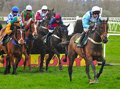 Image result for Newport Horse Race Day