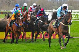 Image result for British Horse Racing Denford