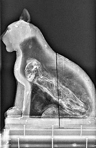 Image result for Mummified Cat Replica