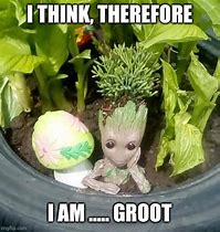 Image result for Baby Groot Meme