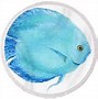 Image result for Turquoise Fish Wallpaper