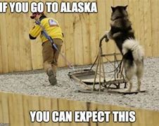 Image result for Mike Dunleavy Alaska Memes