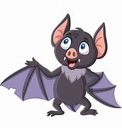 Image result for Cute Bat Illustration