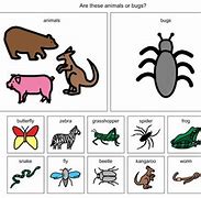 Image result for Boardmaker Dog Cat Hen Animals