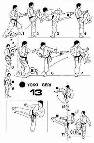 Image result for Best Martial Arts