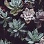 Image result for Aesthetic iPhone Wallpaper Plants