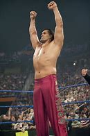 Image result for Great Khali Wrestler