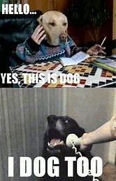 Image result for Hello This Is Dog Meme