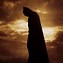 Image result for Batman Begins DVD