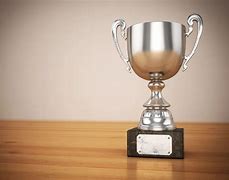 Image result for Pro Sports Trophies