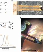 Image result for Quantum Resonance Magnetic Analyzer