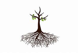 Image result for Tree with Roots Animation