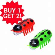 Image result for Cat Bug Toys