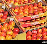 Image result for Price and Sales of Apple