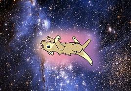 Image result for deviantART Wolf in Space