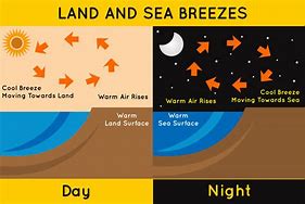 Image result for Draw Sea Breeze and Land Breeze