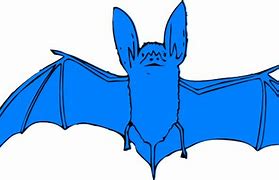 Image result for Bats Watermark