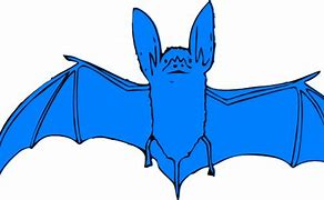 Image result for Baby Bat Clip Art