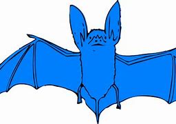 Image result for Blue Bat Cartoon