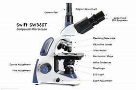 Image result for Real Microscope